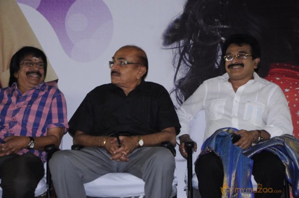 Adhu Vera Idhu Vera Audio Launch Photos