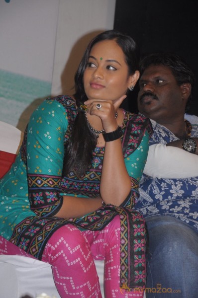 Alaiye Alaiye Movie Audio launch Stills