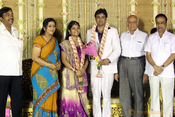 ALS Nachiyappan Son's Wedding Reception Photos 