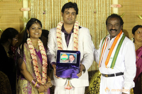 ALS Nachiyappan Son's Wedding Reception Photos 