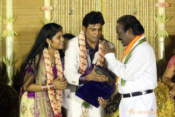 ALS Nachiyappan Son's Wedding Reception Photos 