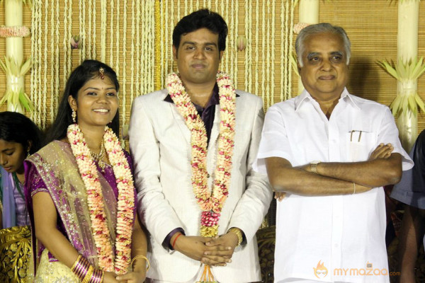 ALS Nachiyappan Son's Wedding Reception Photos 