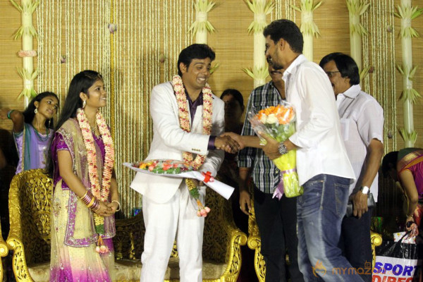 ALS Nachiyappan Son's Wedding Reception Photos 