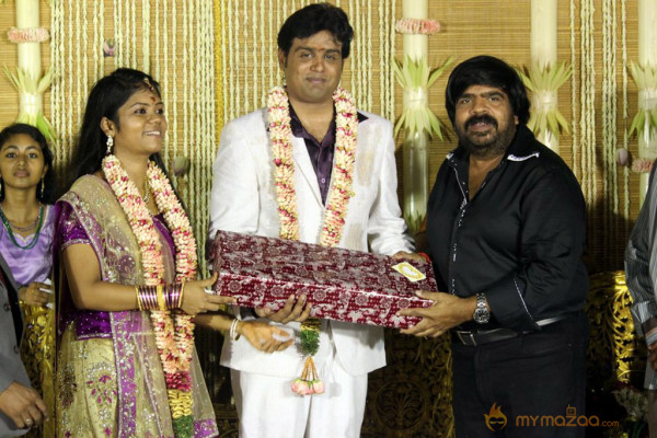 ALS Nachiyappan Son's Wedding Reception Photos 