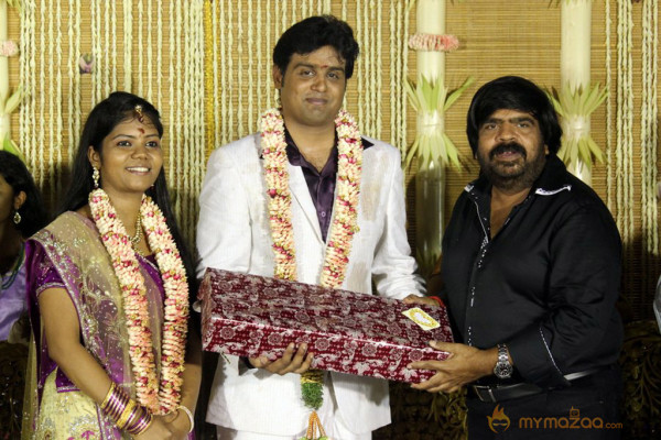 ALS Nachiyappan Son's Wedding Reception Photos 