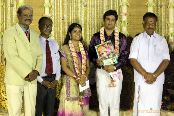 ALS Nachiyappan Son's Wedding Reception Photos 