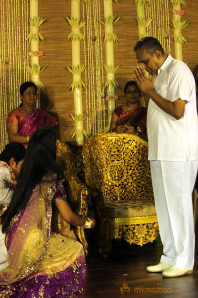 ALS Nachiyappan Son's Wedding Reception Photos 