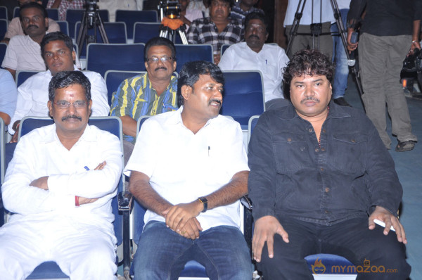 Anubavi Raja Anubavi Movie Audio Launch Gallery 