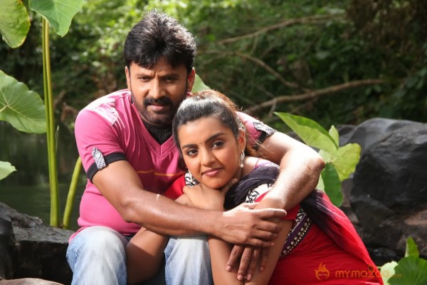 Bhuvanakkadu Movie Hot Stills