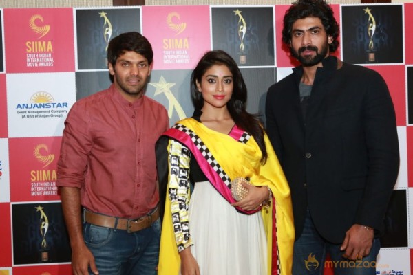 Celebritites At Announce Siima Awards 2013