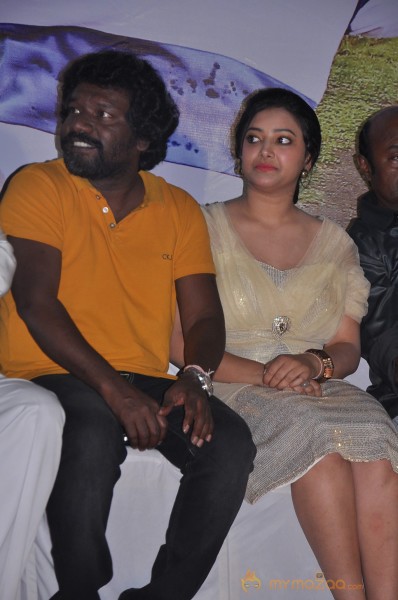 Chandamama Movie Audio Launch Gallery 