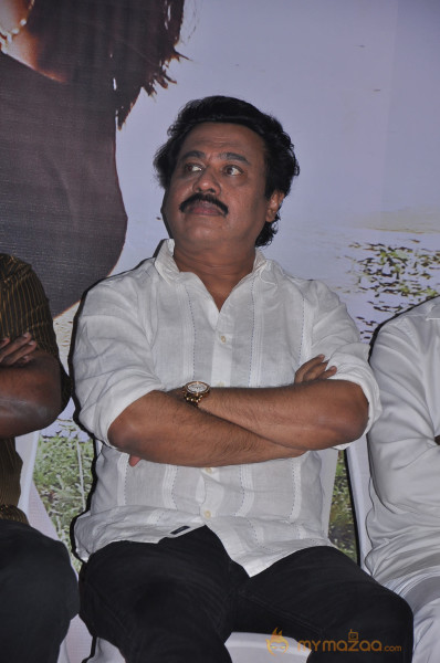 Chandamama Movie Audio Launch Gallery 