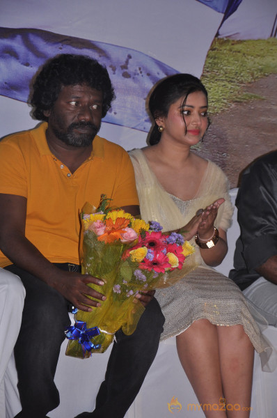 Chandamama Movie Audio Launch Gallery 