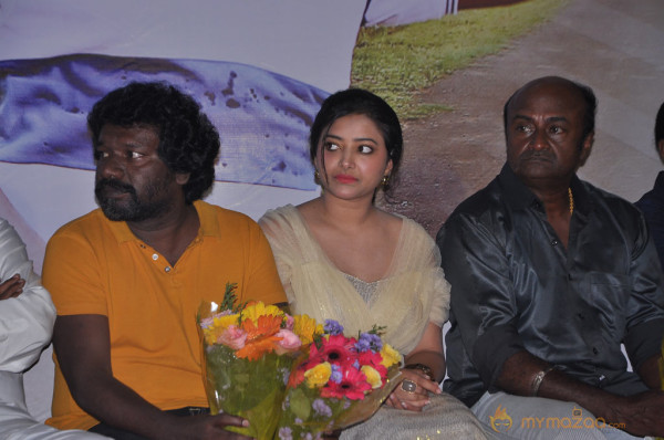 Chandamama Movie Audio Launch Gallery 