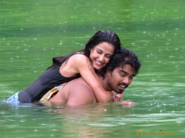 Chikki Mukki Tamil Movie Gallery