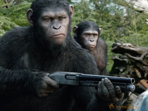 Dawn of the Planet of the Apes Movie Stills