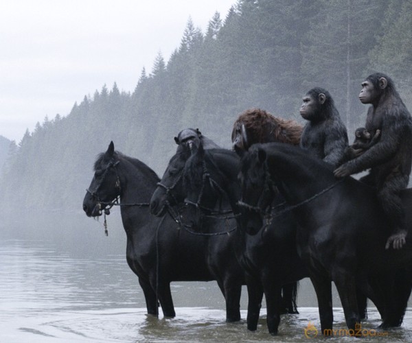 Dawn of the Planet of the Apes Movie Stills