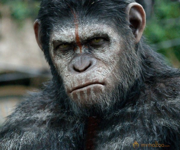 Dawn of the Planet of the Apes Movie Stills