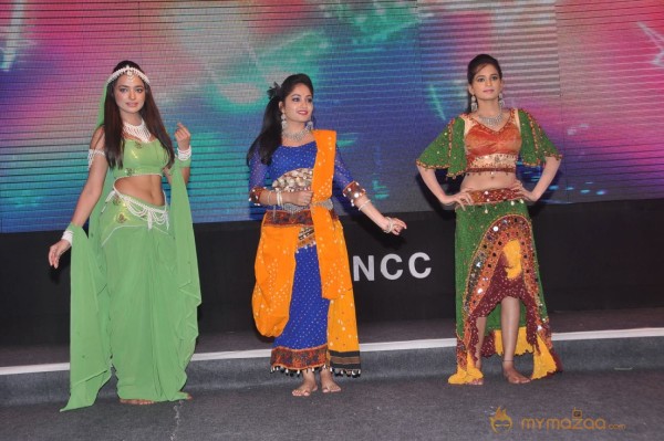 FNCC New Year 2014 Celebrations Stills