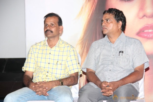 Karthikeyan Movie Audio Launch Photos