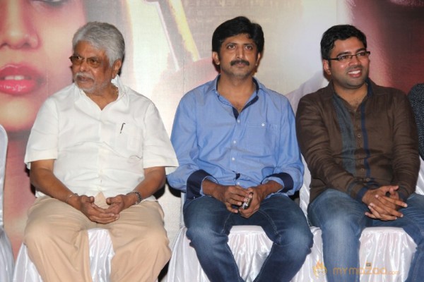 Karthikeyan Movie Audio Launch Photos