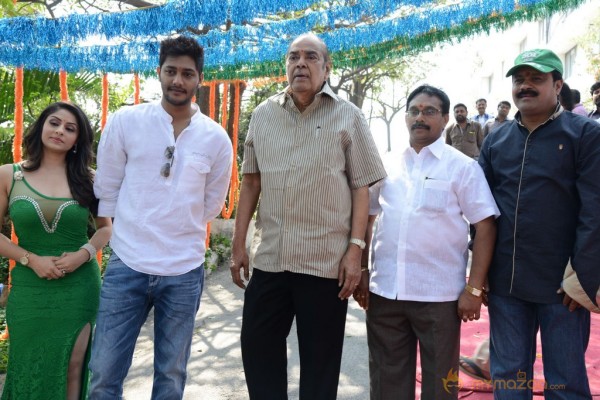 NSR Films New Movie Launch Photos