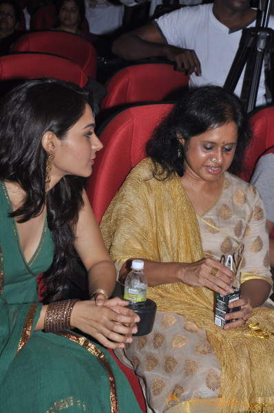 Puthiya Thiruppangal Audio Launch Photo Gallery 