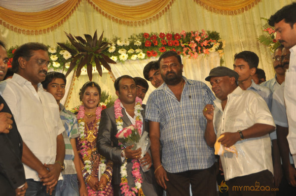 Senthil Son Wedding Reception Gallery 