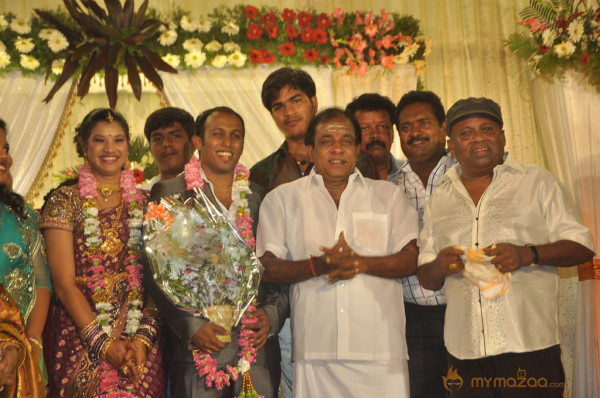 Senthil Son Wedding Reception Gallery 