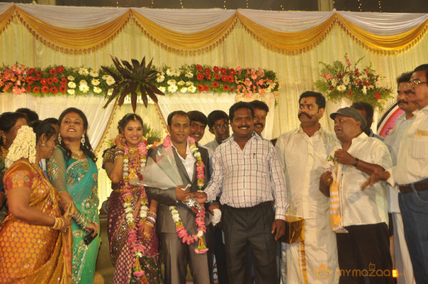 Senthil Son Wedding Reception Gallery 