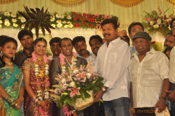 Senthil Son Wedding Reception Gallery 