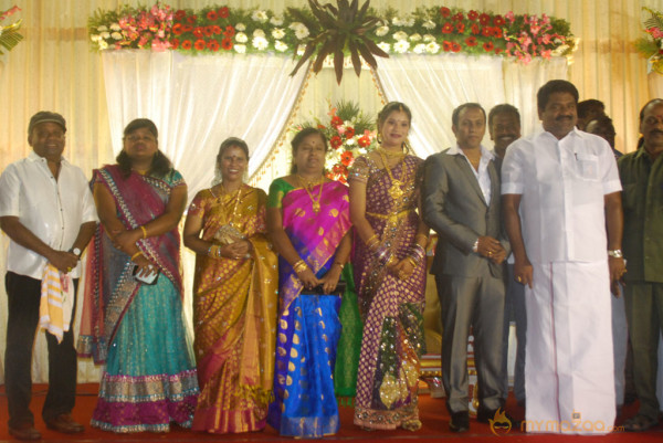 Senthil Son Wedding Reception Gallery 