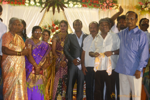 Senthil Son Wedding Reception Gallery 