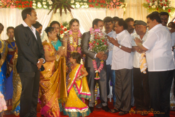 Senthil Son Wedding Reception Gallery 