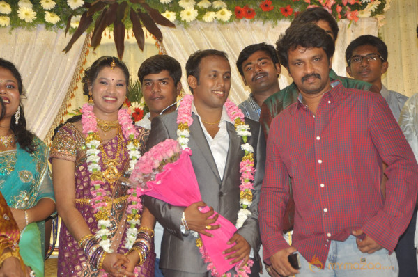 Senthil Son Wedding Reception Gallery 