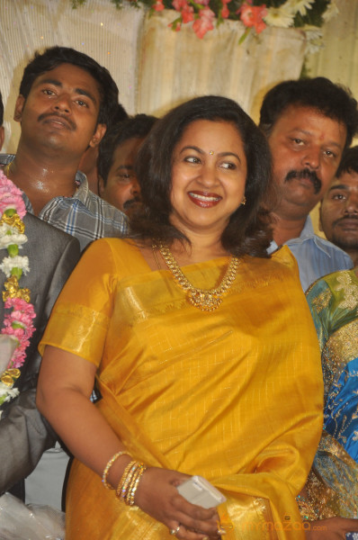 Senthil Son Wedding Reception Gallery 