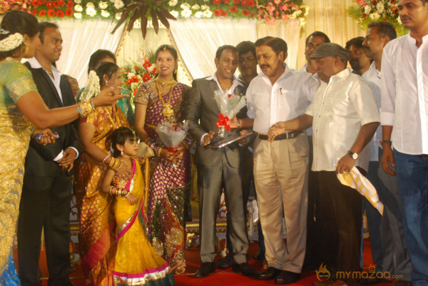 Senthil Son Wedding Reception Gallery 