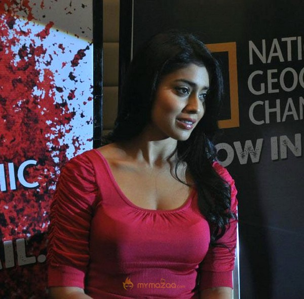 Shriya At NGTC Launch Stills