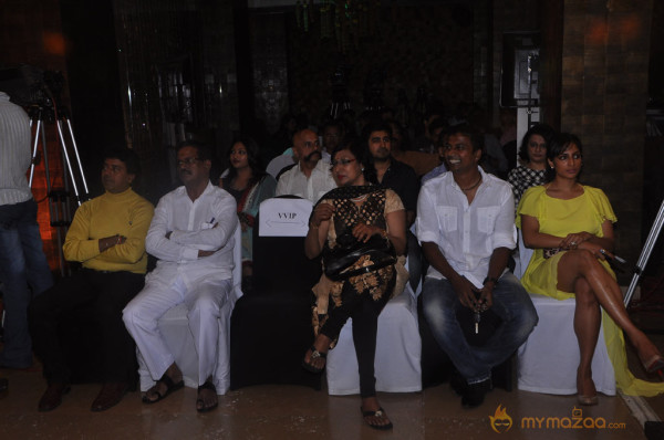 South Scope Calendar Launch 