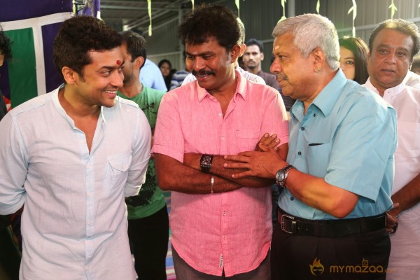 Suriya New Movie Launch Photos