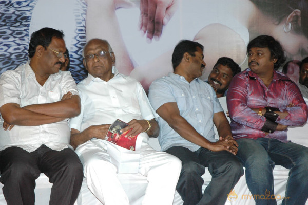 Swasame Movie Audio Launch 