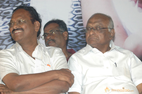 Swasame Movie Audio Launch 