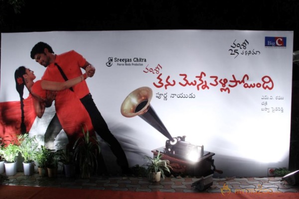 TanuMonne Vellipoyindi Audio Launch Photos