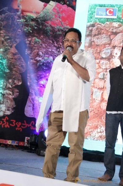 TanuMonne Vellipoyindi Audio Launch Photos