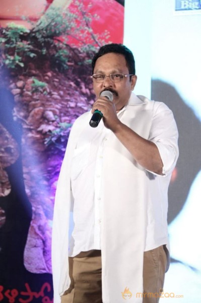 TanuMonne Vellipoyindi Audio Launch Photos