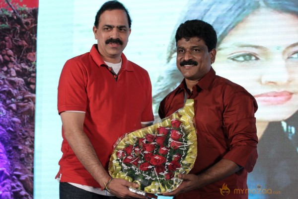 TanuMonne Vellipoyindi Audio Launch Photos