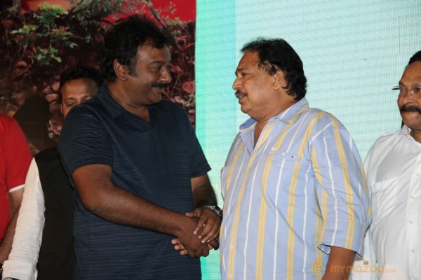 TanuMonne Vellipoyindi Audio Launch Photos