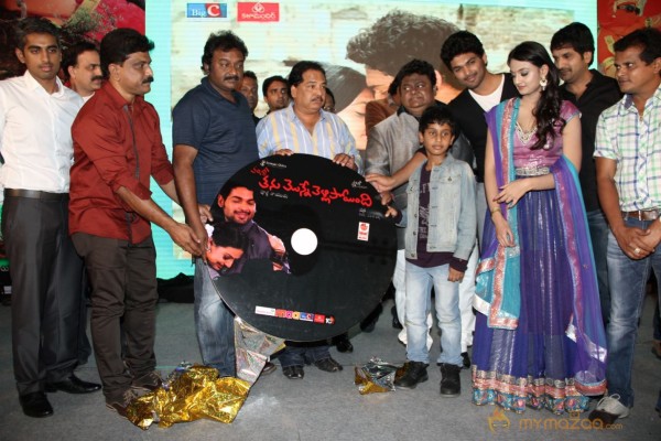 TanuMonne Vellipoyindi Audio Launch Photos