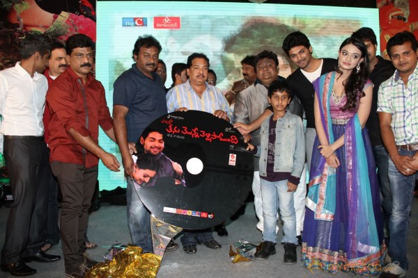 TanuMonne Vellipoyindi Audio Launch Photos