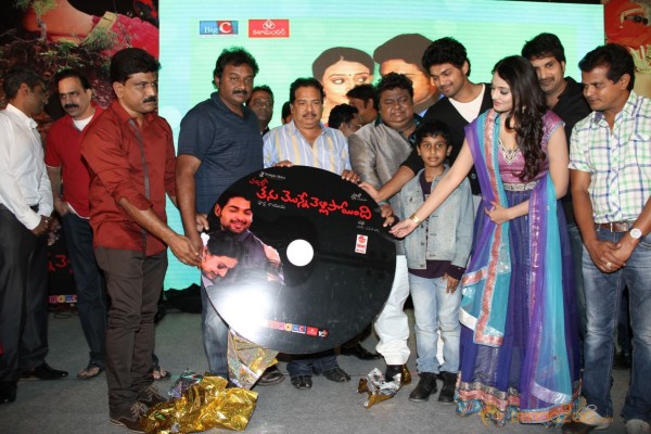 TanuMonne Vellipoyindi Audio Launch Photos